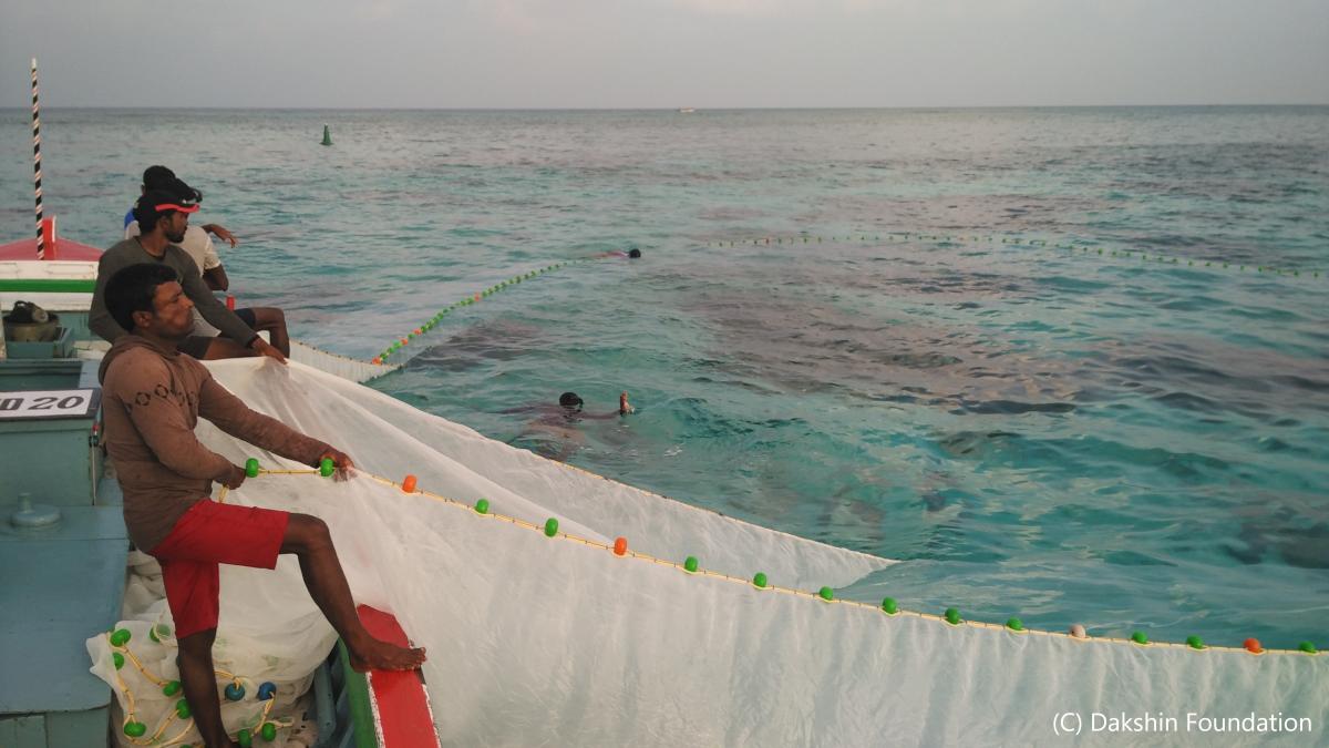 Lakshadweep poleandline yellowfin tuna Sourcing Transparency Platform